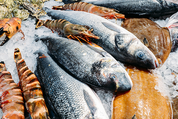Großhändler - Quality Seafood