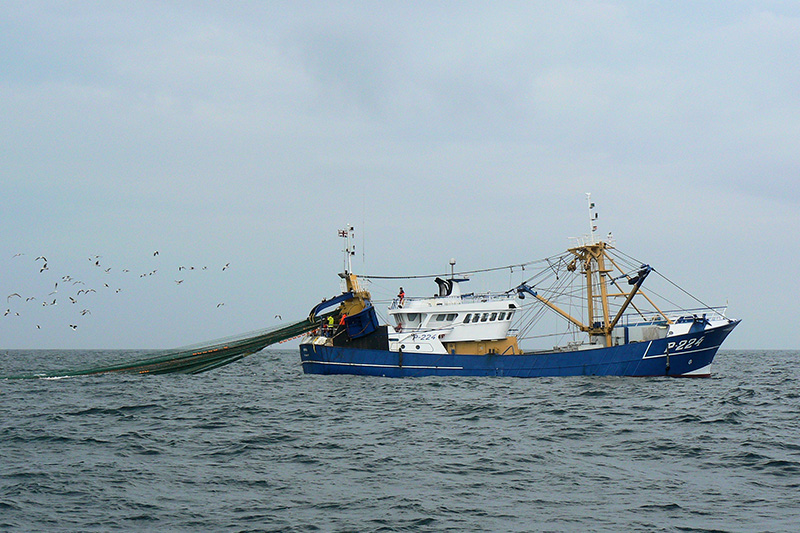 Topqualität, Nachhaltigkeit und Hygiene - Quality Seafood