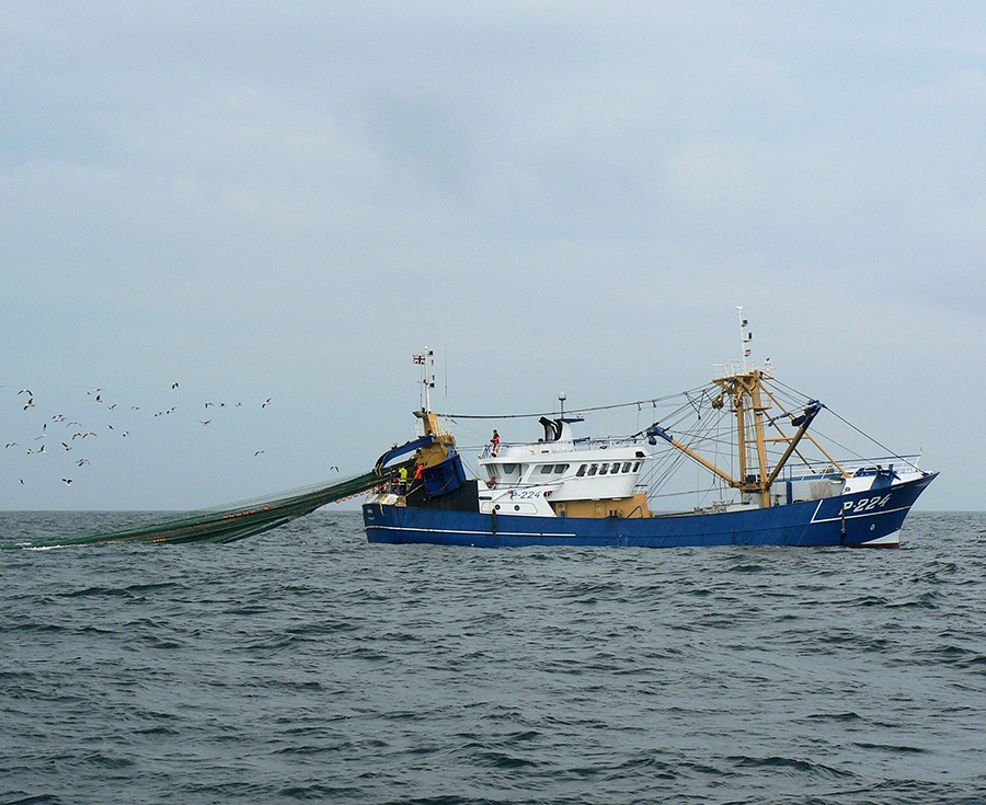 Unsere Qualität - Quality Seafood