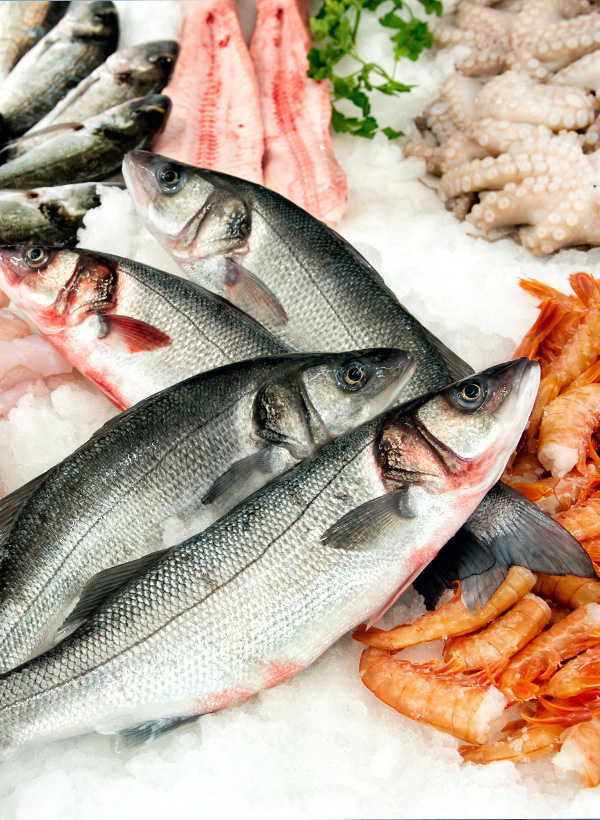 Erweitertes Sortiment - Quality Seafood