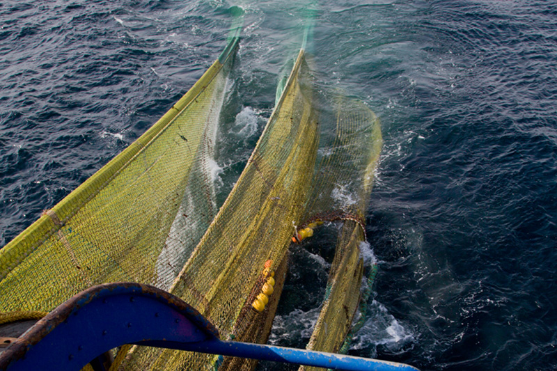 Marine Stewardship Council - Quality Seafood