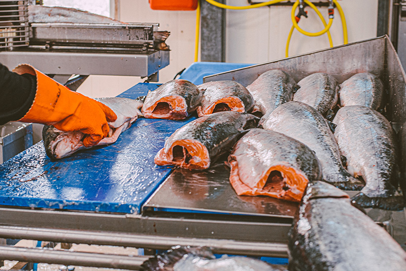 Een neus voor Noorse kweek - Quality Seafood