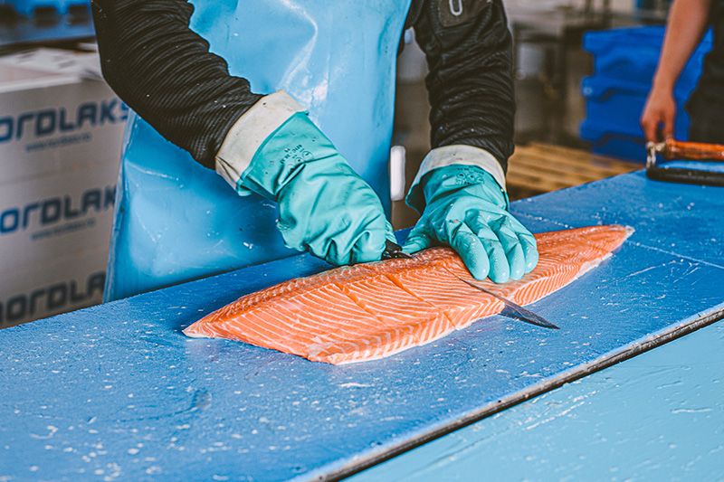 Verwerking zalm - Quality Seafood